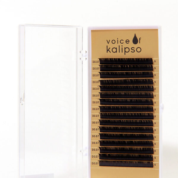 Ресницы для наращивания Voice of Kalipso черные 0,07 / D / 9мм (16 линий)